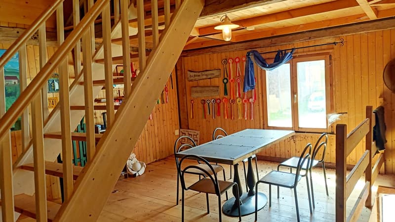Schönes Bauernhaus mit zwei Wohnungen von 300 m2 und 220 m2 Scheune und Paddock (40)