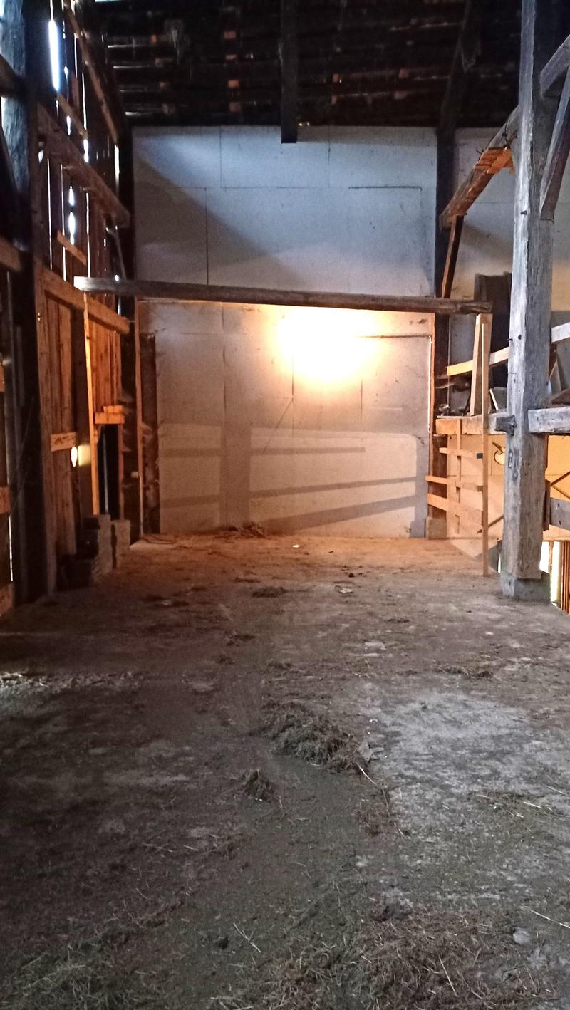 Schönes Bauernhaus mit zwei Wohnungen von 300 m2 und 220 m2 Scheune und Paddock (37)