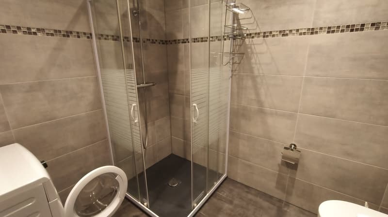 Bathroom, shower enclosure, washing machine, toilet, and shelving