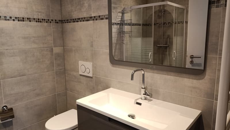 White tiled walls, white porcelain sink, white modern toilet, mirror above the sink, glass door shower stall, silver hardware