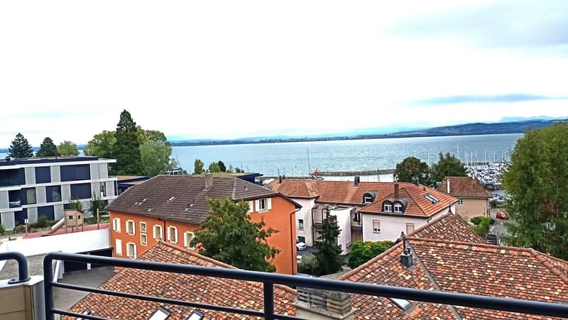 Magnifico con vista lago impareggiabile, a 5 minuti dalla spiaggia (2)
