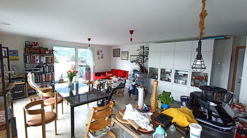 Prächtige Eckwohnung mit 66 m2 Panoramaterrasse (2)