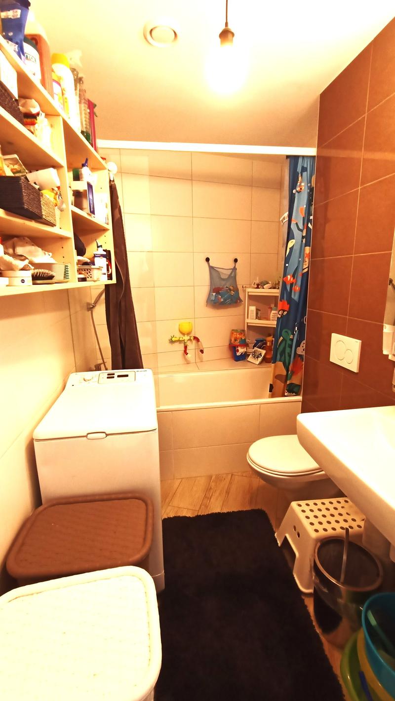 Prächtige Eckwohnung mit 66 m2 Panoramaterrasse (6)