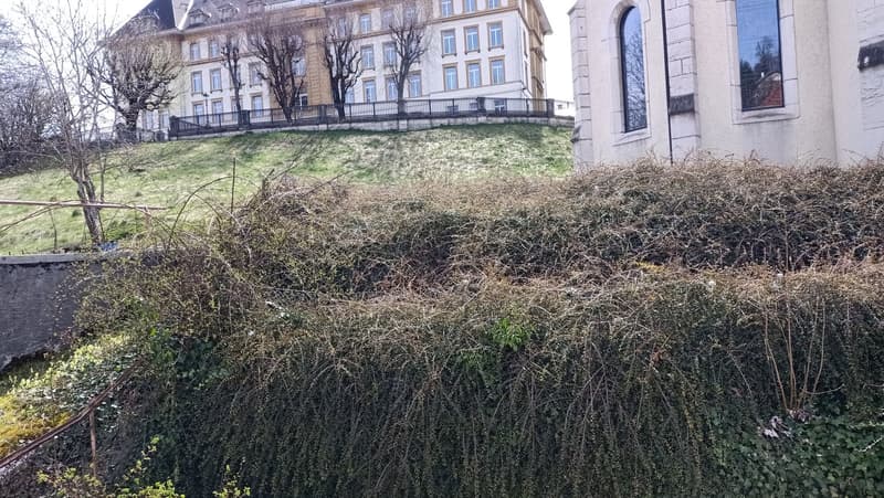 Jolie maison à rénover / transformer avec potentiel constructif additionnel (16)