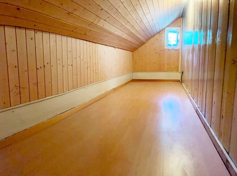 Jolie maison à rénover / transformer avec potentiel constructif additionnel (12)