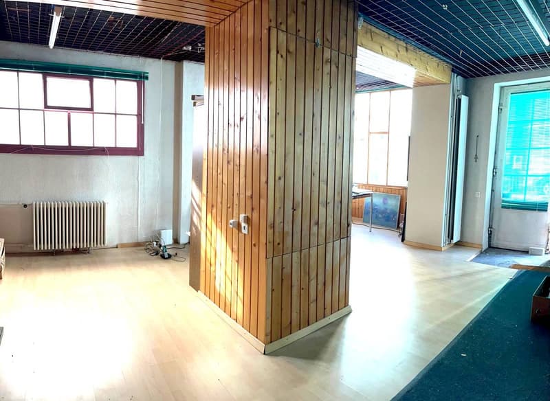 Jolie maison à rénover / transformer avec potentiel constructif additionnel (4)