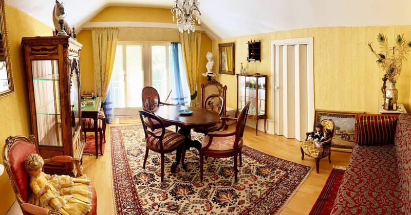Jolie maison à rénover / transformer avec potentiel constructif additionnel (14)