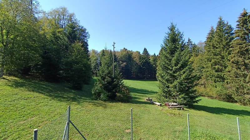 Chalet de 4,5 pièces – Un havre de paix aux portes de Bienne (4)