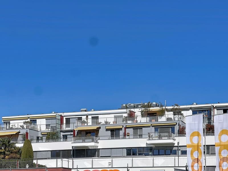 Appartamento di 4,5 locali (10)