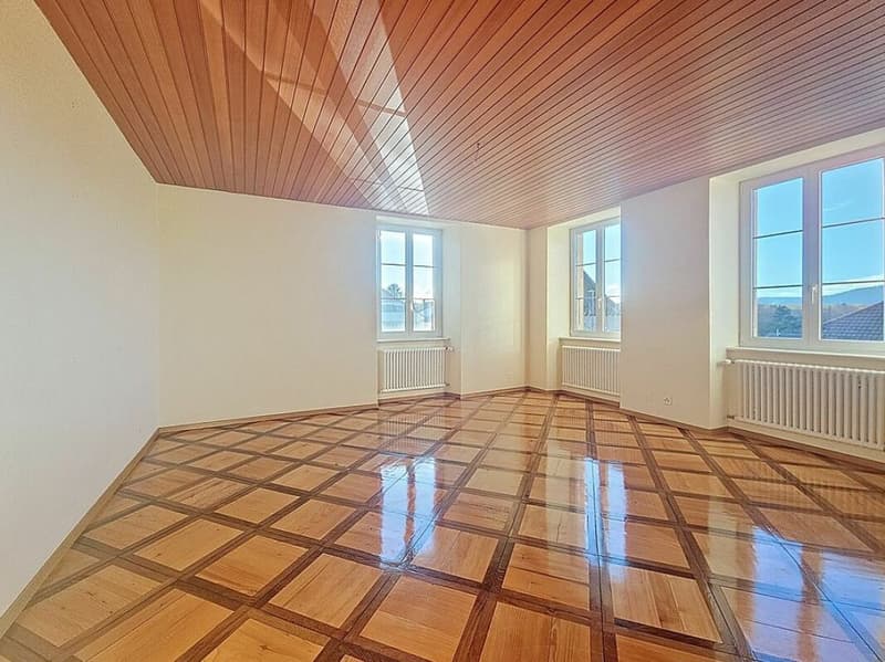 Very beautiful manor house located in Epautheyres (9)