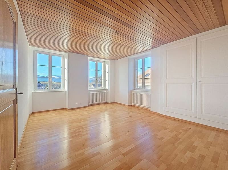 Very beautiful manor house located in Epautheyres (10)