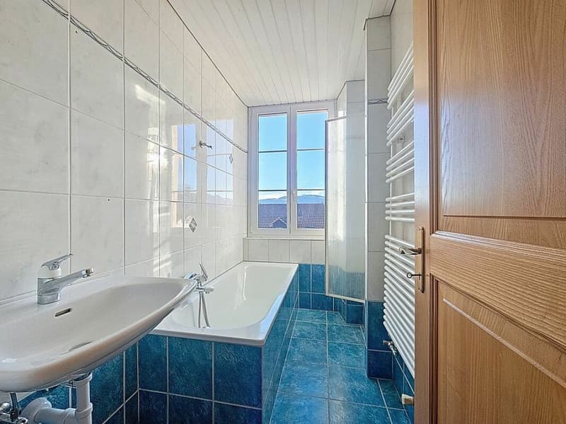 Very beautiful manor house located in Epautheyres (12)