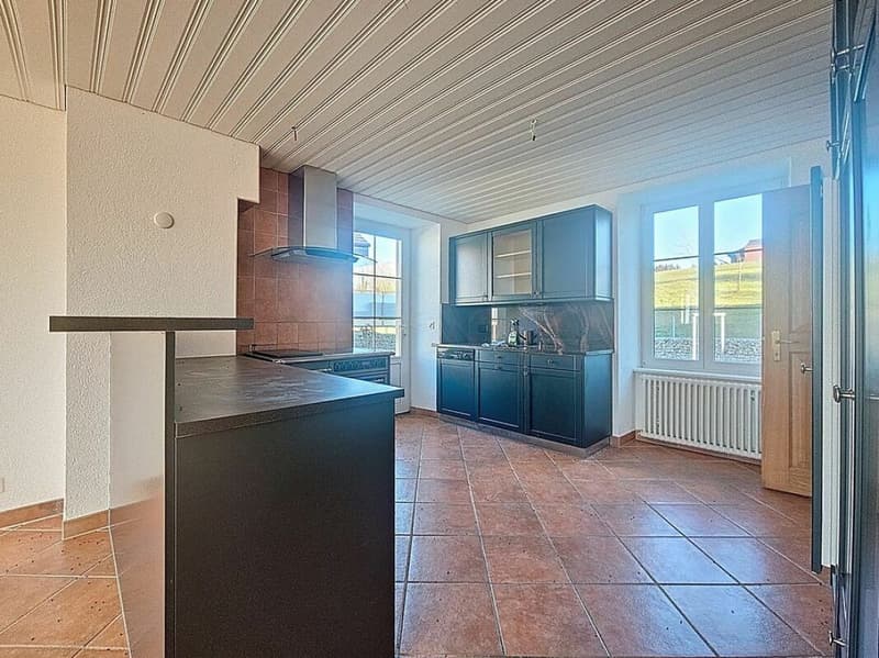 Very beautiful manor house located in Epautheyres (7)
