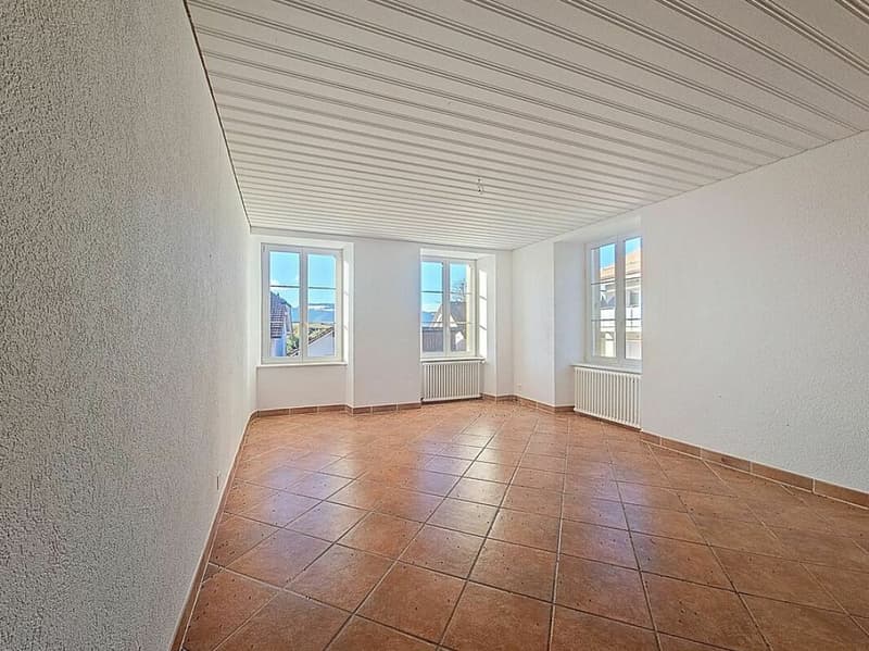 Very beautiful manor house located in Epautheyres (8)