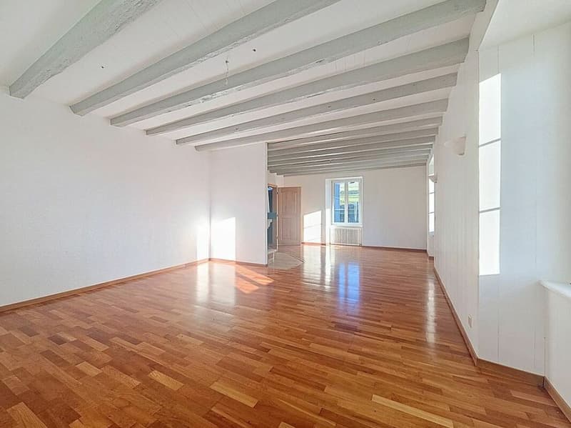 Very beautiful manor house located in Epautheyres (5)