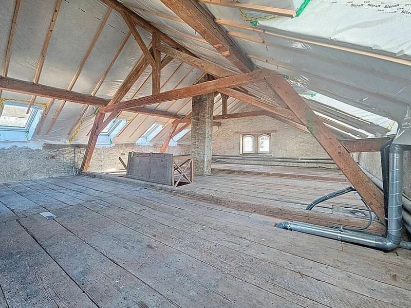Very beautiful manor house located in Epautheyres (15)