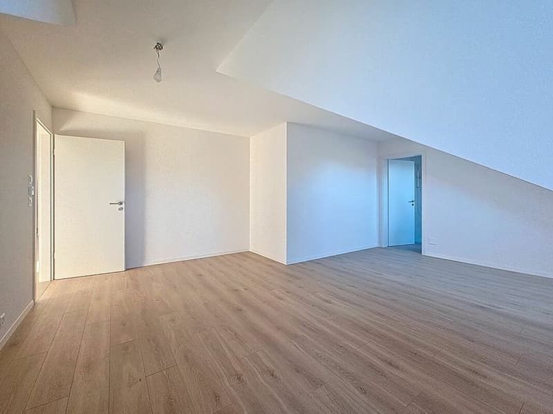 Very beautiful 4.5-room new apartment (Lot 9) (8)