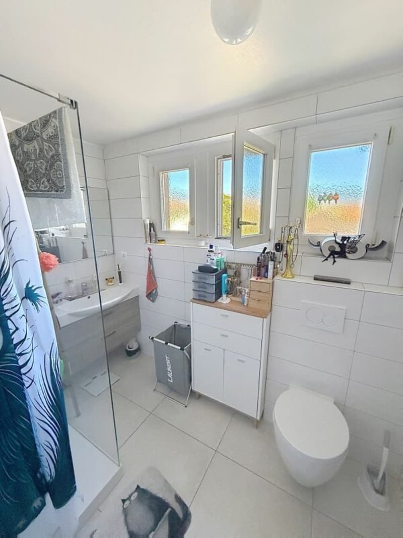 3,5 Zimmer Dachgeschoss (6)