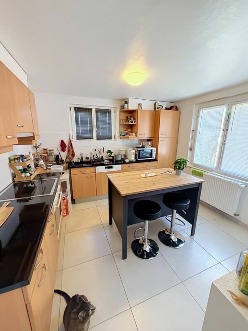 3,5 Zimmer Dachgeschoss (5)