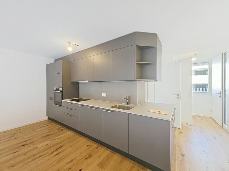 Nouvelle construction 3.5 pièces haut standing (3)