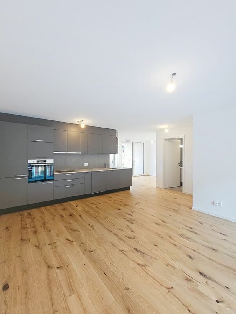 Nouvelle construction 3.5 pièces haut standing (2)