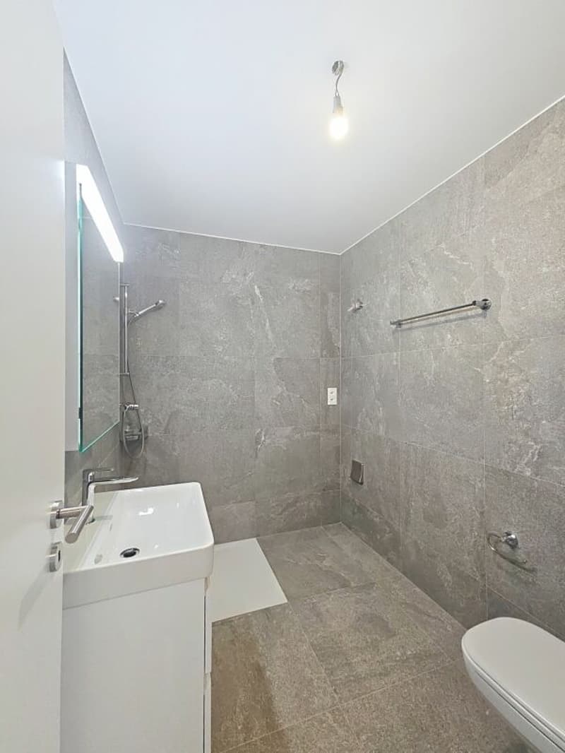 Nouvelle construction 3.5 pièces haut standing (8)