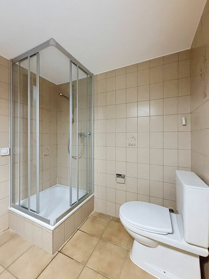 Charmante maisonnette triplex avec jardin (7)