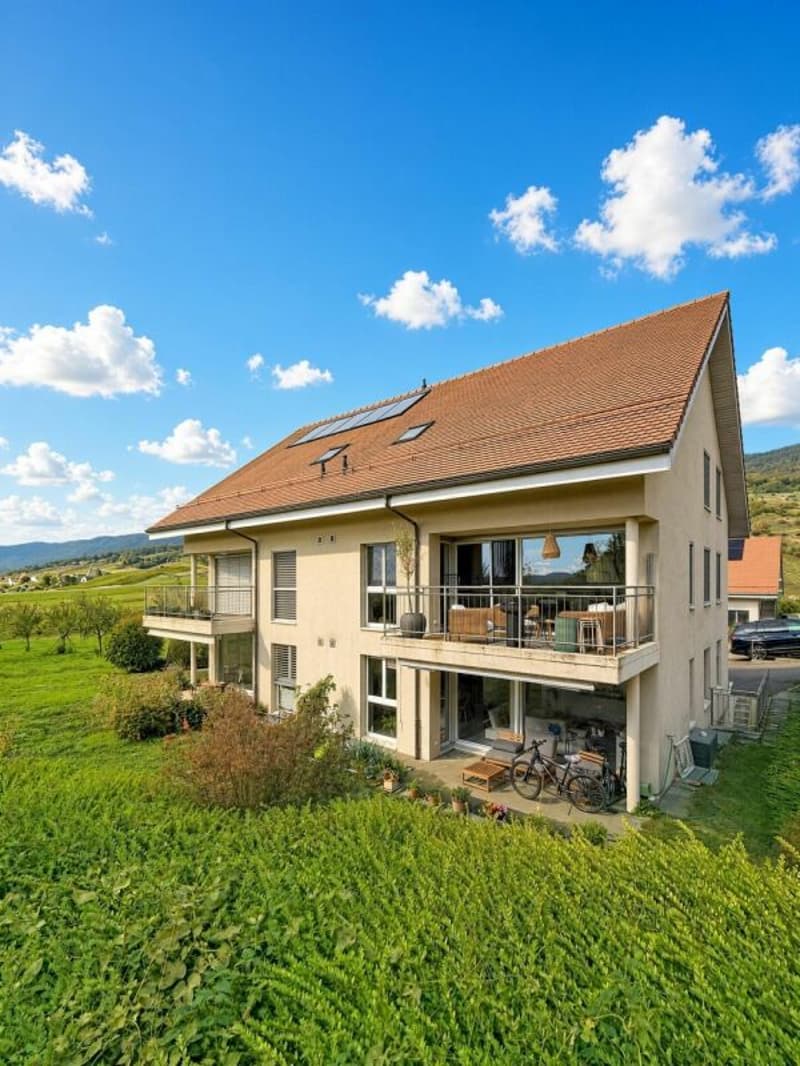 Magnifique appartement 5.5pces (2)