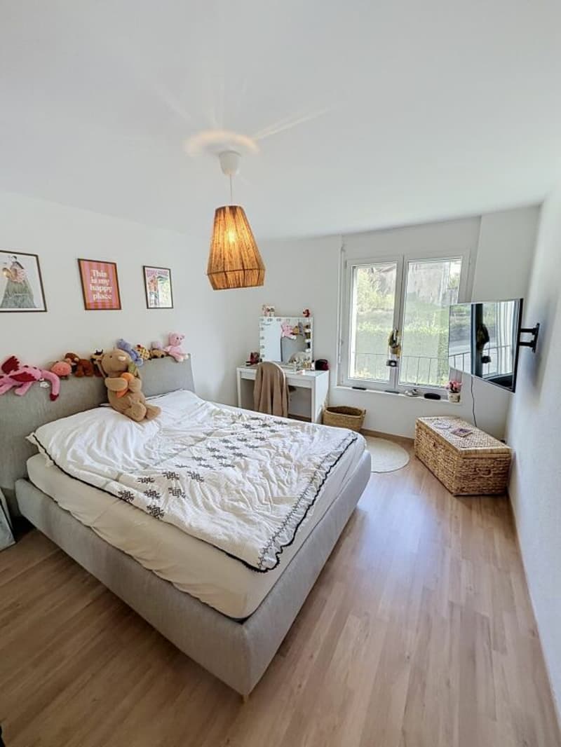 Magnifique appartement 5.5pces (11)