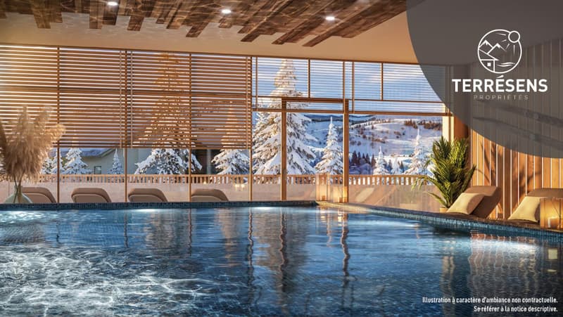 APPARTEMENT T3 CABINE - RÉSIDENCE L'ADRET AUX DEUX ALPES (3)