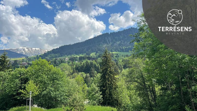 APPARTEMENT T2 - RÉSIDENCE L'ALTIMA IN MEGÈVE (9)
