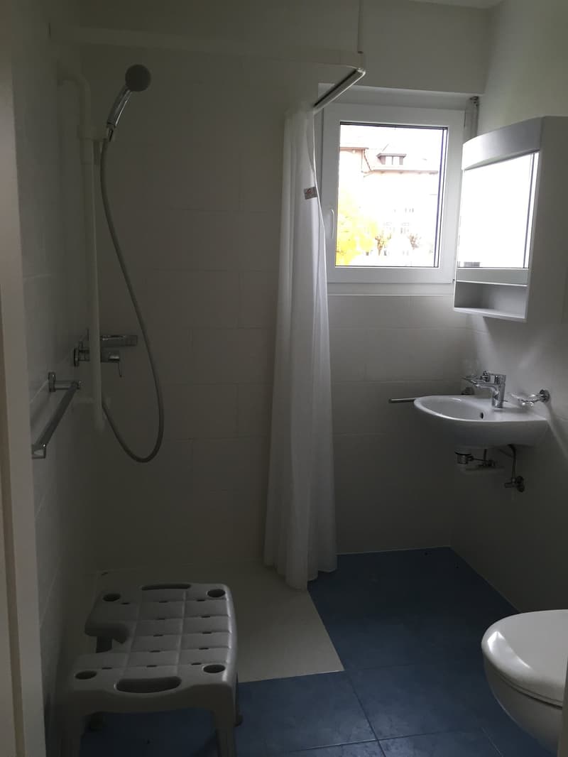 white bathroom with sink, shower, and toilet