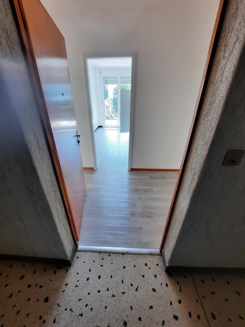Appartamento di 3 locali con balcone (1)