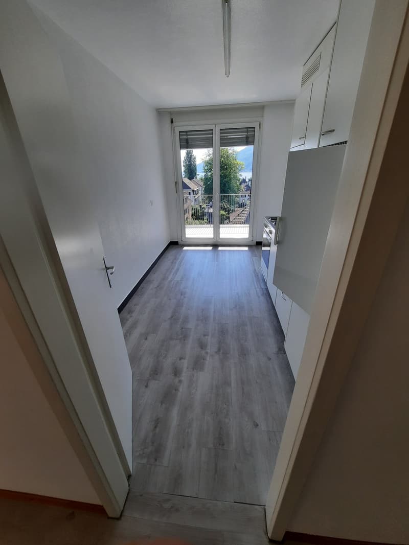 Appartamento di 3 locali con balcone (2)
