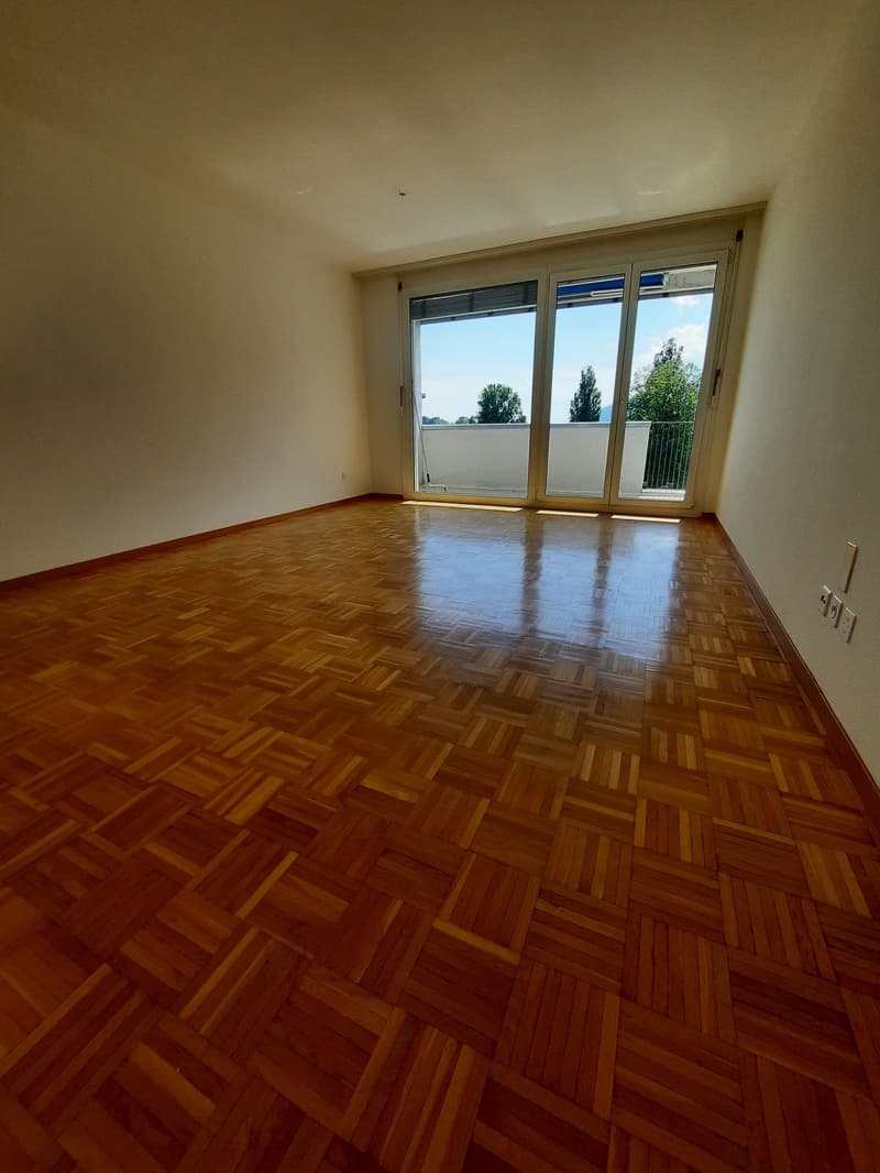 Appartamento di 3 locali con balcone (3)