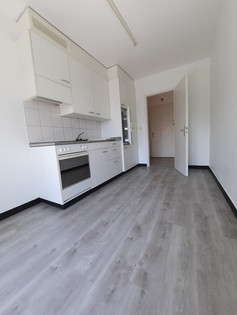 Appartamento di 3 locali con balcone (8)