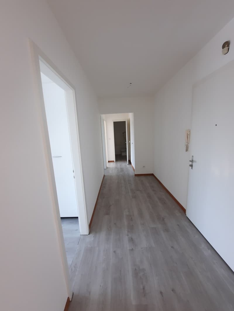Appartamento di 3 locali con balcone (10)