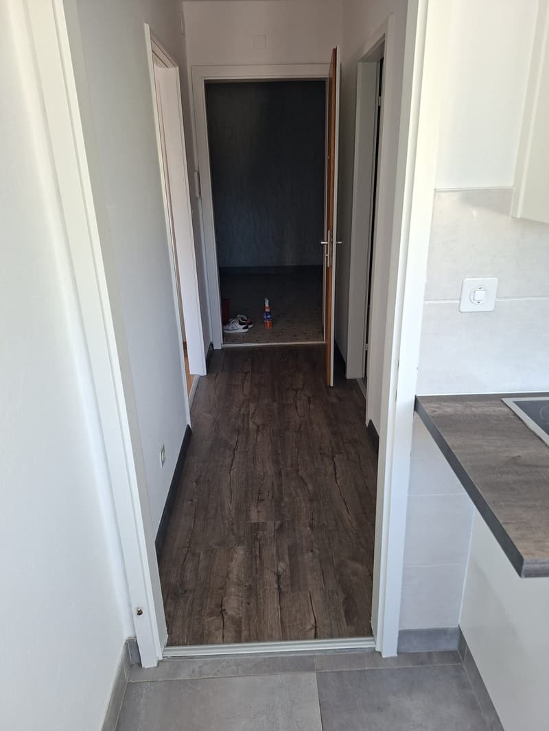 Appartement de 2 pièces à louer à Bienne (3)