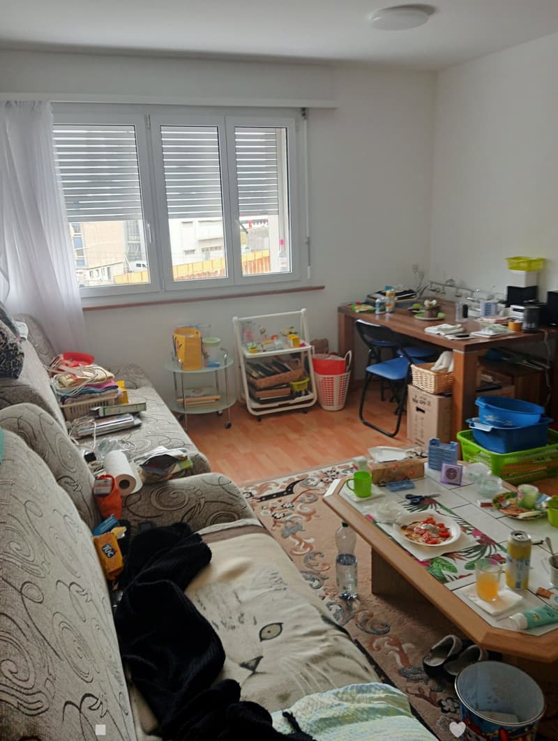 Zweizimmerwohnung zur Miete in Biel (6)