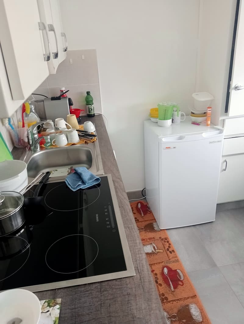 Appartamento di due locali in affitto a Bienna (4)
