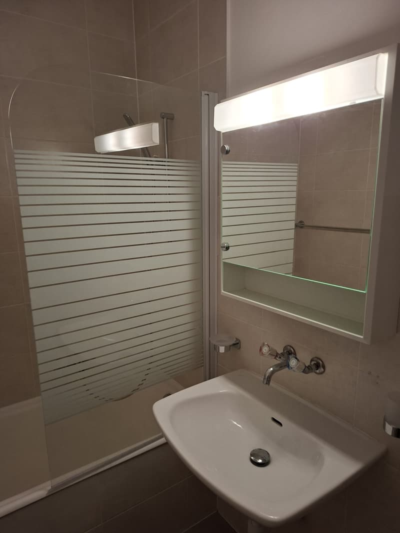 Appartement de 2 pièces à louer à Bienne (7)