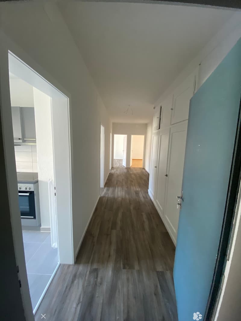 Geräumige und helle Wohnung (2)