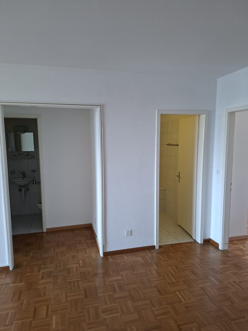 Appartement de 3.5 pces disponible de suite avec belle vue (6)