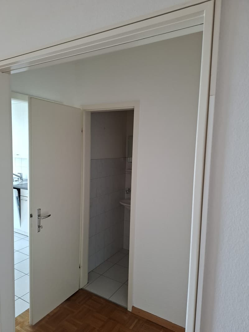 Appartement de 3.5 pces disponible de suite avec belle vue (7)