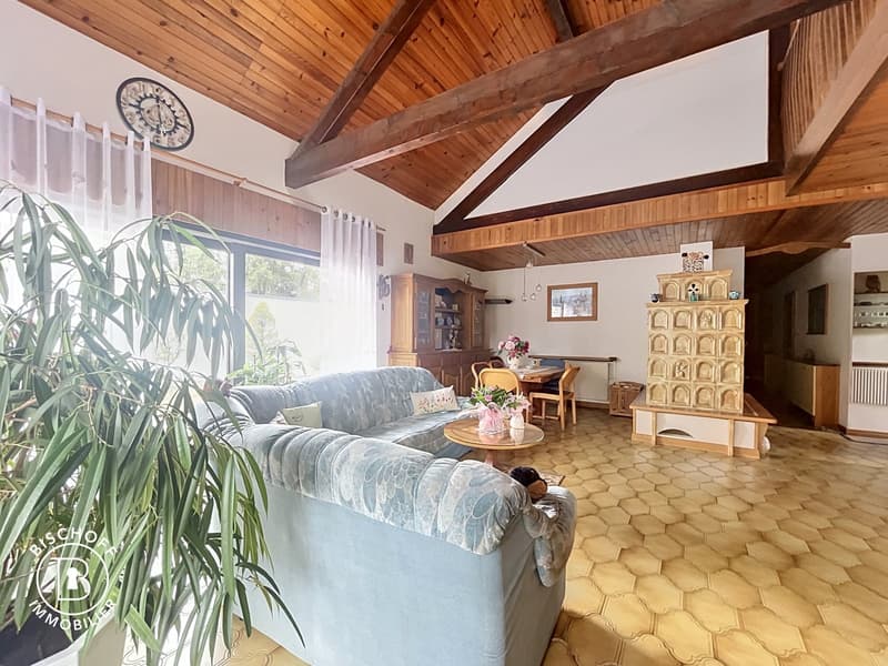 Charming, single-story house in an exceptional environment (25)