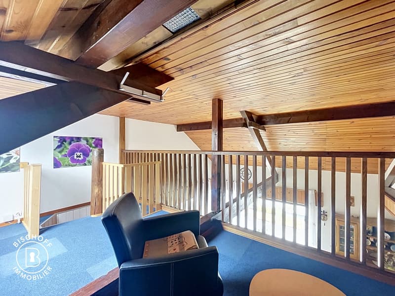 Charming, single-story house in an exceptional environment (14)