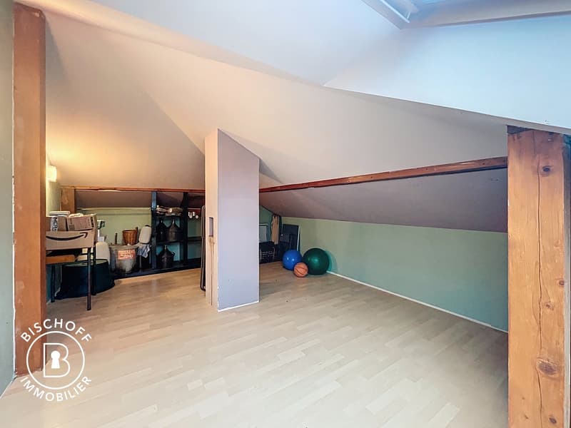 Charming single-family house with garden in Kembs – available immediately! (12)