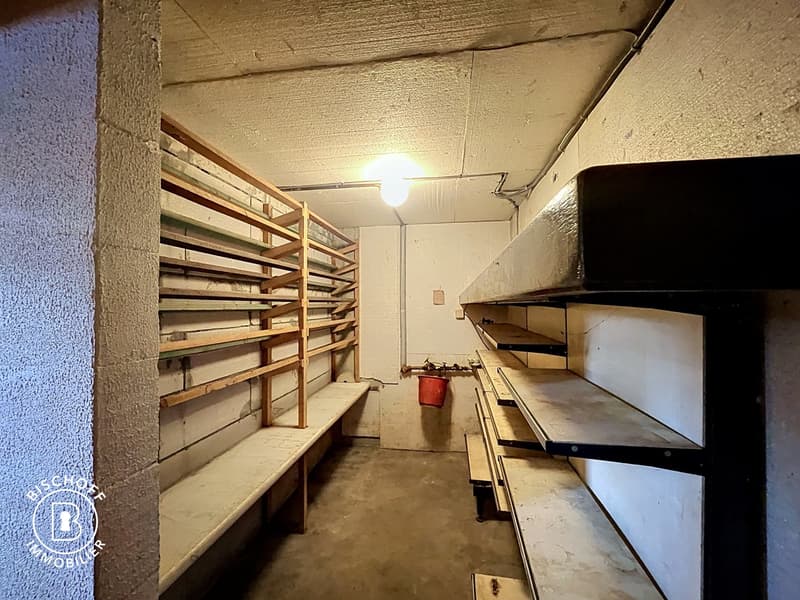 Charmantes Haus, das renovierungsbedürftig ist – sofort verfügbar (29)