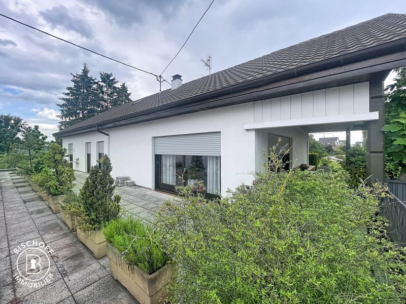 Charming, single-storey house in an exceptional environment (15)