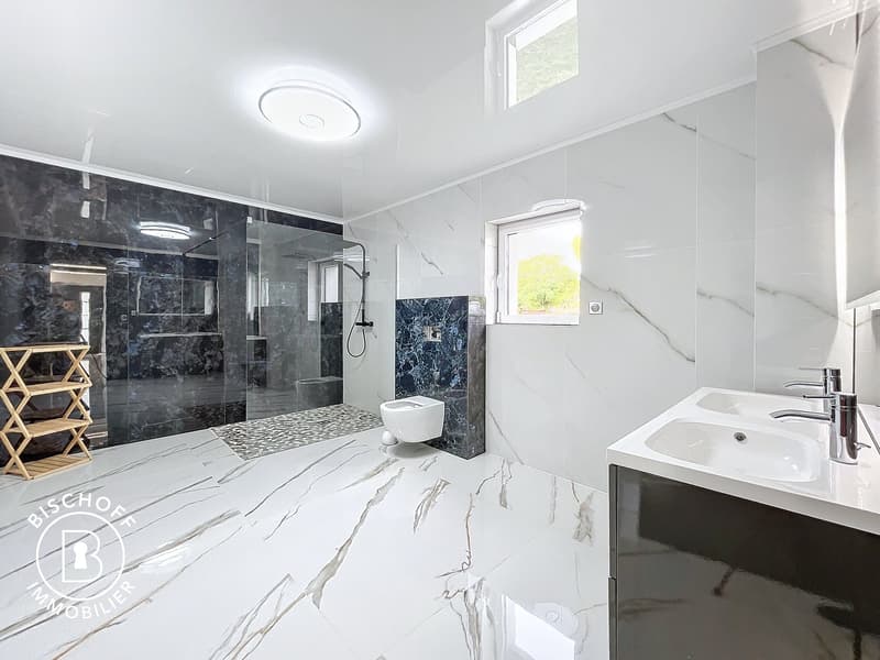 Beautiful villa only 15 minutes from Basel (7)